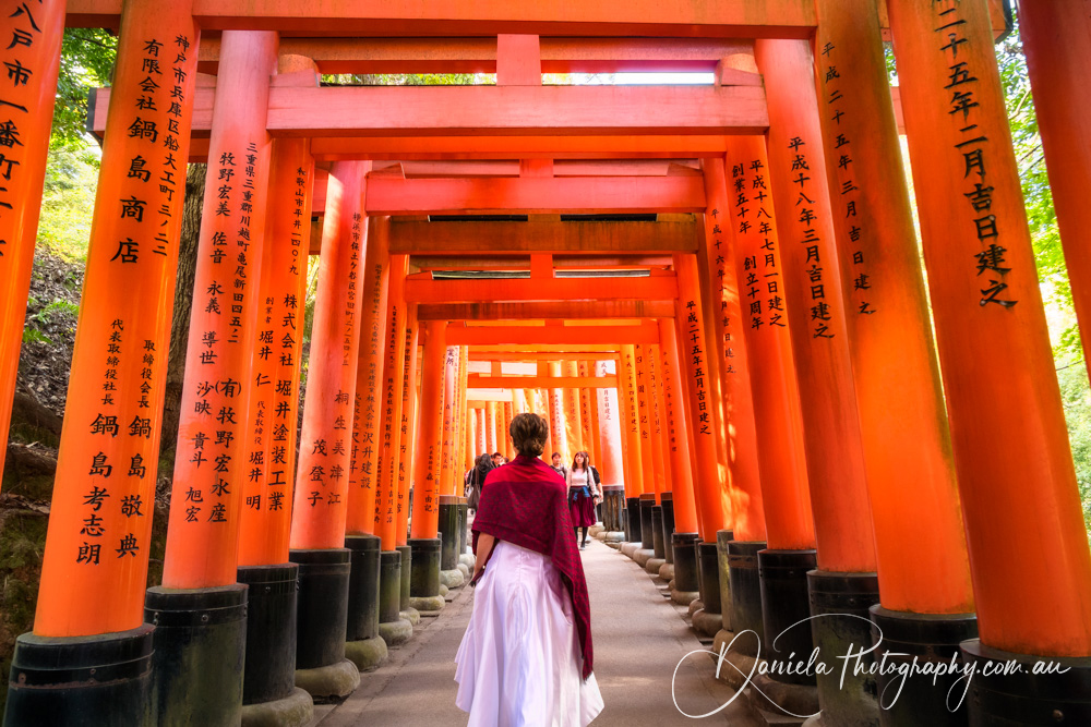 Beautifully filtered daylight at Senbon Torii (Thousand Torii Gates) Fushimi Inari Shrine, Kyoto, Japan